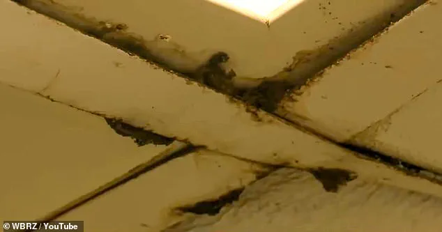 Wendy’s Restaurant in Louisiana Under Fire for Unsafe Working Conditions and Health Risks