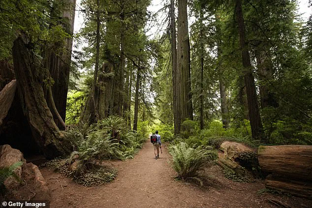 California Defies Trump's Directive to Charge at National Parks, Expands Free Access for Public on MLK Day