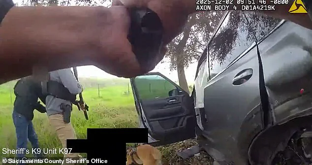 Tragic Incident in Elk Grove: Former Deputy Stabs Son Before Fatal Pursuit