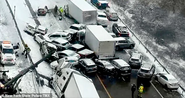 Arctic Storm's 'Once-in-a-Decade' Fury Sparks 100-Vehicle Pileup on I-196: 'Like Driving Through a Wall of Snow,' Witness Says as Police Call It 'Most Catastrophic' Collision