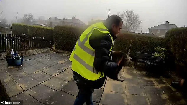 Amazon Delivery Driver Allegedly Caught on Camera Stealing Cat in Elland, West Yorkshire