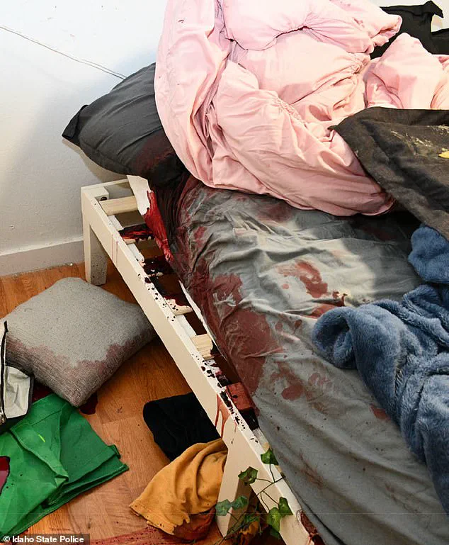 Idaho State Police Release Previously Unseen Crime Scene Photos from Bryan Kohberger Murder Case