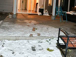 Idaho State Police Briefly Release Restricted Crime Scene Photos from University of Idaho Murders