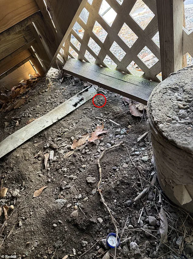 When the Internet Solves Your Missing Wedding Band: A Tale of Innovation and Privacy Concerns