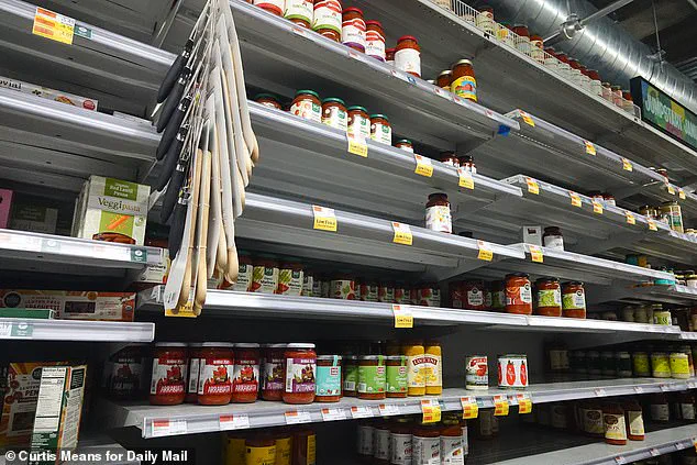 Winter Storm Fern Sparks Panic as New York City Grapples with Supply Chain Disruptions