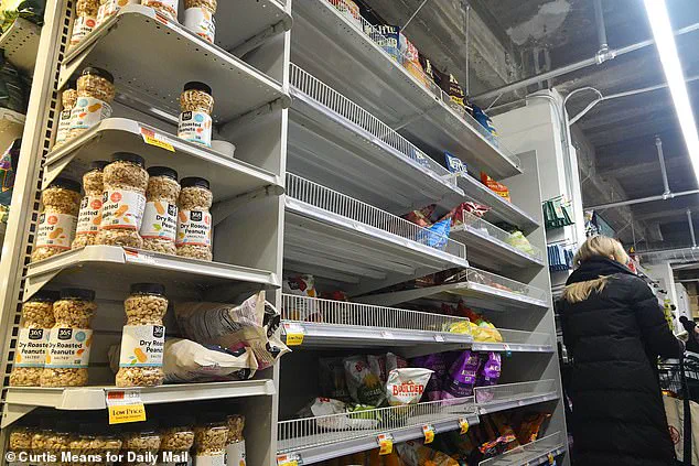 Winter Storm Fern Sparks Panic as New York City Grapples with Supply Chain Disruptions