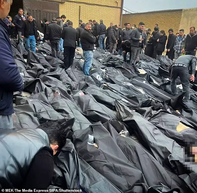 Iranian Activists Claim Executions Amid Regime's Crackdown on Protests