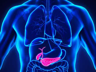 'A game-changer': New drug combo erases pancreatic tumors in mice, offering hope for cancer patients