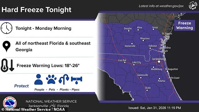Exclusive: Florida's Unprecedented Cold Snap – Limited Access to Critical Weather Insights