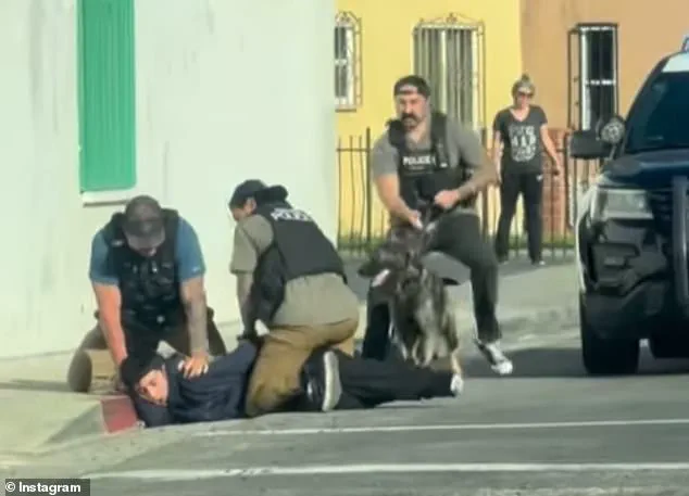 17-Year-Old Heist Suspect Mistaken as ICE Victim in Viral Footage, Police Say