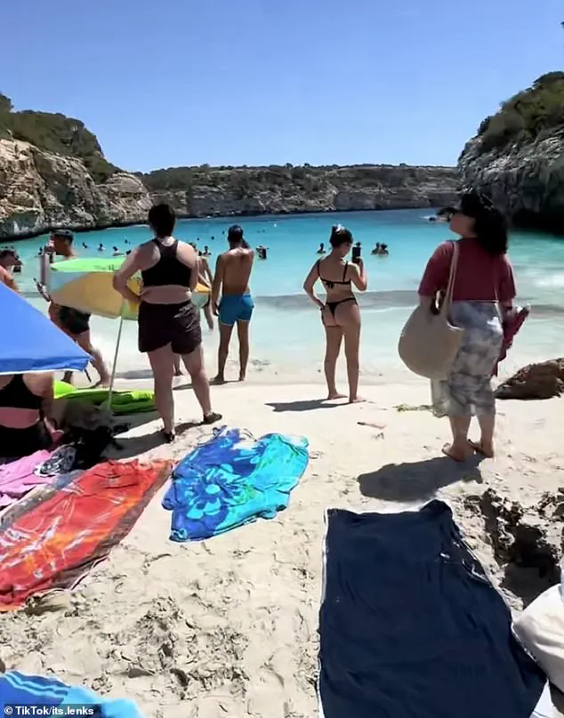 Exclusive Fence Plan to Transform Caló des Moro from Hidden Gem to Private Retreat