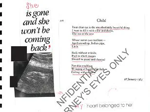 Jeffrey Epstein Documents Reveal Claims of Offspring, Victim's Diary Details Childbirth