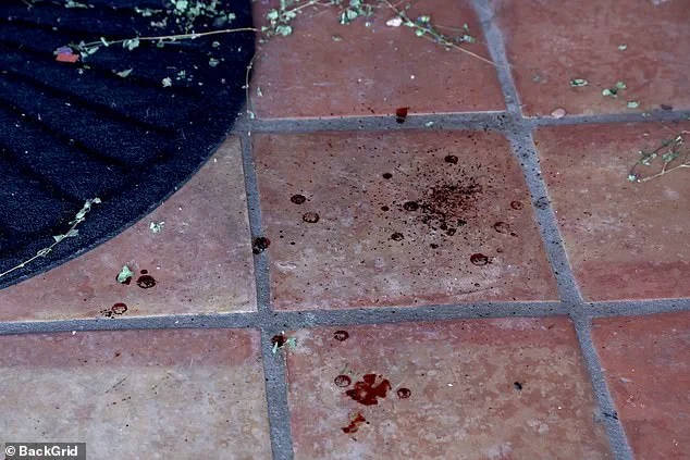 Mysterious Disappearance of Nancy Guthrie: Bloodstains and Missing Camera Clue in Tucson Home