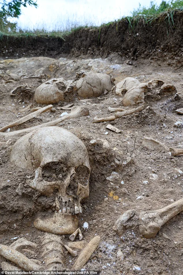 Viking-era Burial Pit Unearths Mutilated Remains, Raising Questions About Ancient Surgery and Violence in Cambridge