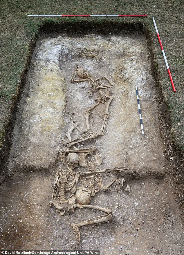 Viking-era Burial Pit Unearths Mutilated Remains, Raising Questions About Ancient Surgery and Violence in Cambridge