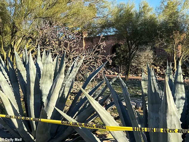 Bring Her Home: Family's Emotional Plea for Missing Tucson Grandmother
