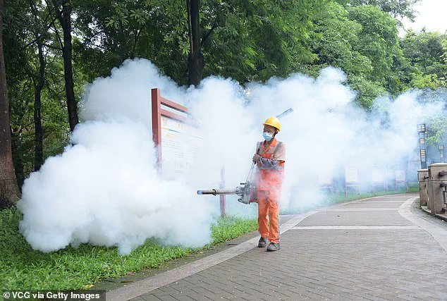 CDC Issues Level 2 Alert for Chikungunya Outbreak in Seychelles and Suriname, Urges Travelers to Take Precautions