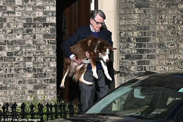 Peter Mandelson's Epstein-Linked Scandal Raises National Security Concerns Amid US Congress Demand