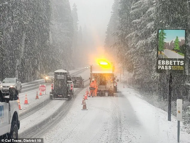 Ten Backcountry Skiers Missing After Devastating Avalanche Near Lake Tahoe