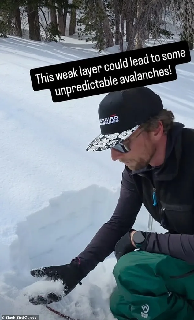 Eerie Warning and Deleted Comment Precede Deadly Lake Tahoe Avalanche, Killing Eight