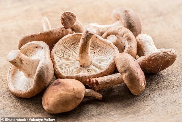 Plant-Based Diets and Cancer Prevention: Key to Reducing Risk