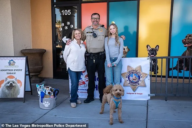 Sweet Golden Retriever Finds Forever Home After Being Abandoned at Airport