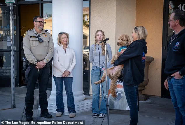 Sweet Golden Retriever Finds Forever Home After Being Abandoned at Airport