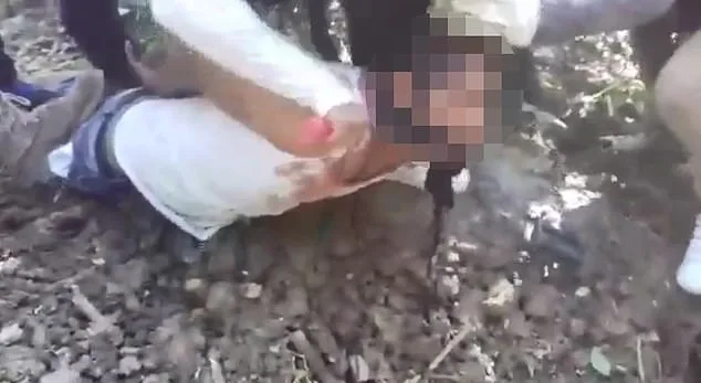 Mexico's Drug War Turns a Corner as El Mencho Falls in Joint US-Mexican Operation, Raising Questions on Violence and Human Rights