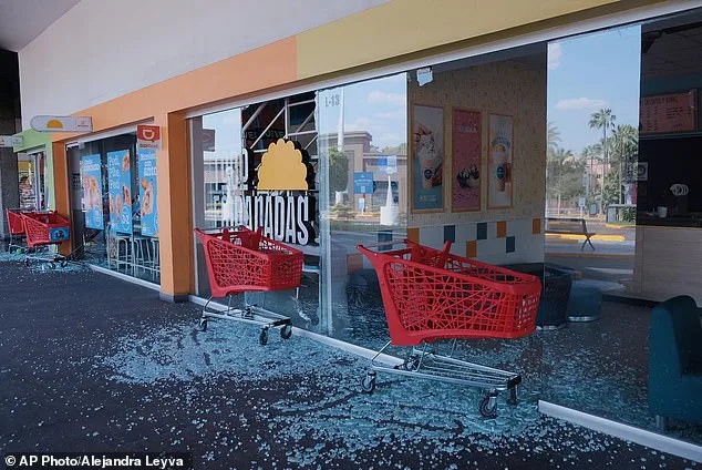 Puerto Vallarta's Humanitarian Crisis: Cartel Violence Strands Tourists After El Mencho's Killing