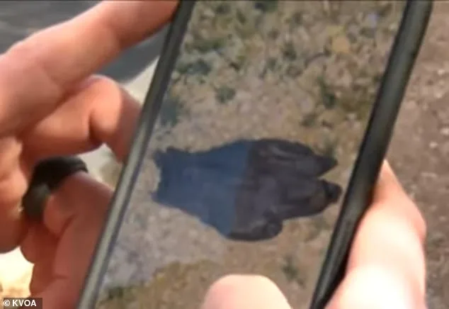 New Footage Reveals Masked Suspect at Nancy Guthrie's Tucson Home Before Abduction
