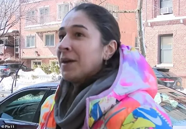Neighborly Dispute Over Snow-Shoveling Feud During NYC Blizzard Raises Questions About Community Boundaries and Local Authority Involvement