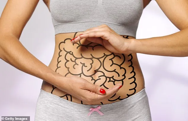 Fueling the Brain: Diet, Gut Health, and Cognitive Function