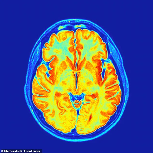 Pregnancy Triggers Neurological Transformation, Not Cognitive Decline: Study Challenges 'Baby Brain' Myth