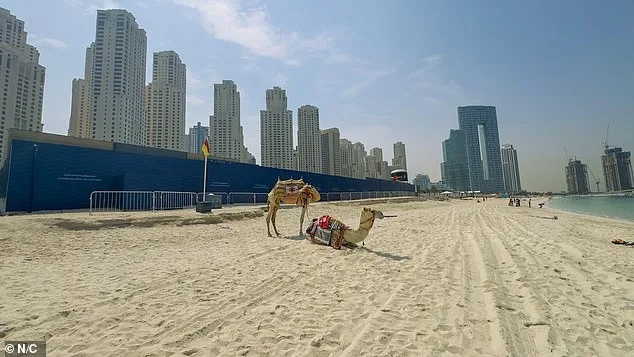 Dubai in Turmoil: Iranian Missile Strikes Transform Opulent City into Ghost Town