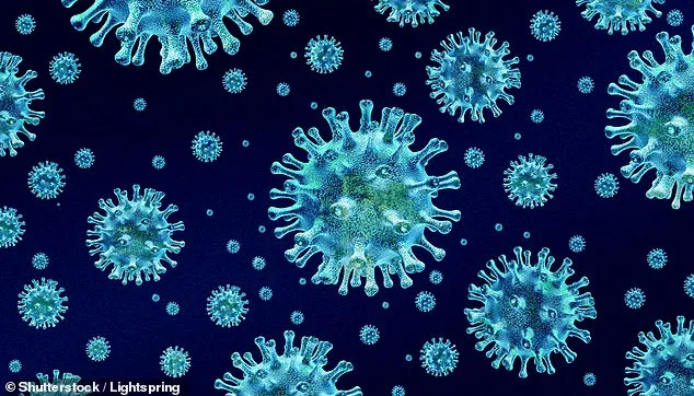 Deadly Bird Flu Spreads to Marine Mammals in California, Raising Fears of Human Transmission