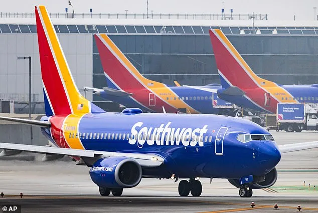 Ruby Cosby's Viral Fight with Southwest Airlines Over Extra Seat Fee Sparks Debate