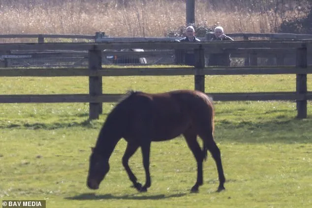 Andrew Mountbatten-Windsor Defies Alleged Riding Ban as Police Probe Continues