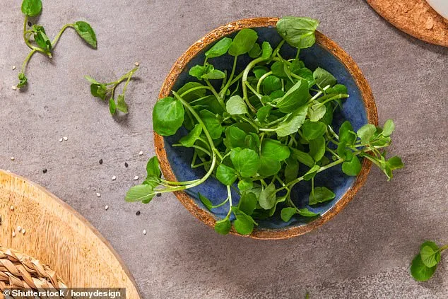 The Healthiest Vegetable, Per CDC, Still Overlooked in Kitchens