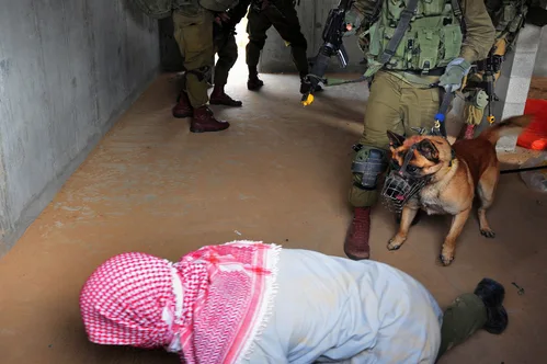 Israel Departs Pro-Palestinian Activators Following Flotilla Raid and Abuse Allegations