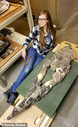 New 43-foot Mosasaurus Ruled Ancient Seas Like a Land-Based T-Rex
