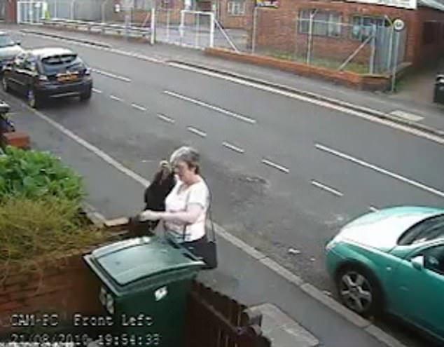 Woman's Viral Cat Rescue Incident Leaves Her Permanently Scorned Worldwide